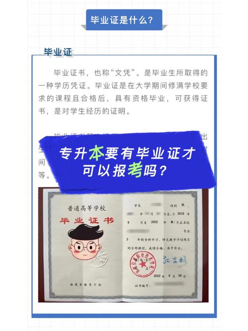 畢業(yè)了還可以考專升本嗎(報(bào)考條件)-圖1