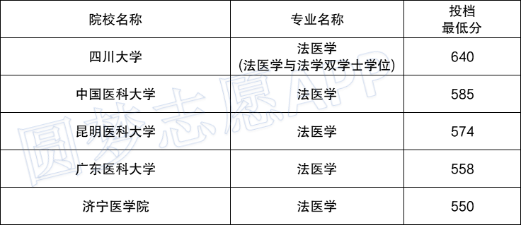 報考法醫的基本條件-圖1