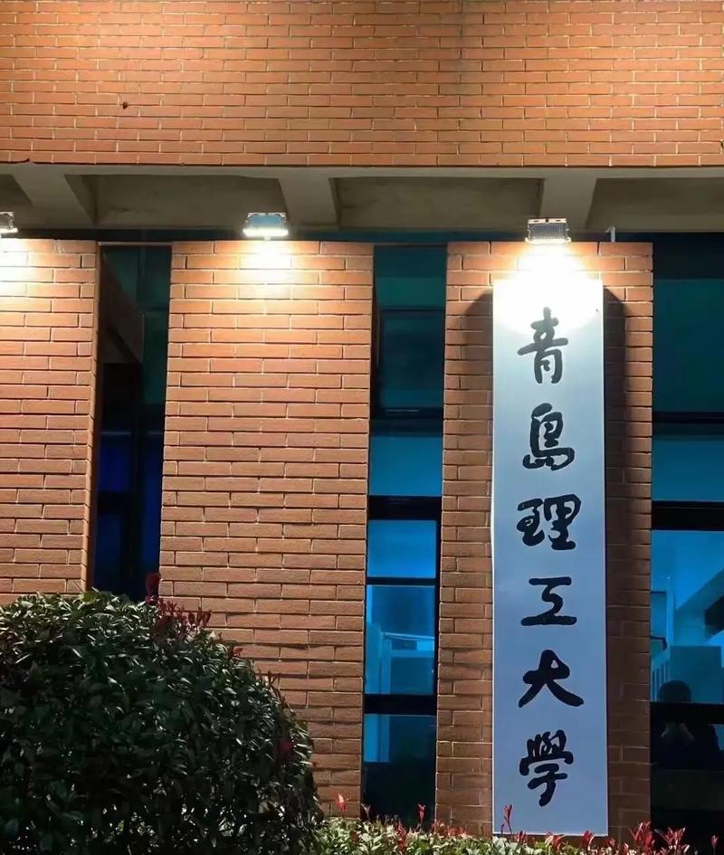 山東專升本最好的大學(xué)-圖1