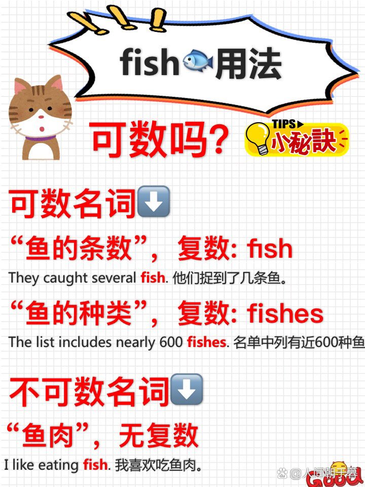 fish可數(shù)嗎 與fishes有啥區(qū)別-圖1