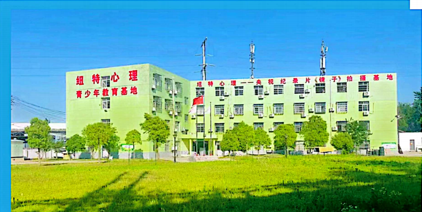 江蘇揚州紐特教育心理:專注青少年心理健康與全面發展-圖1