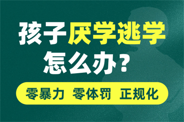 武漢市孩子叛逆全封閉學(xué)校：紐特心理學(xué)校特色、課程介紹-圖2