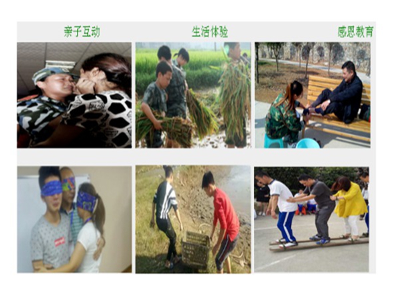 貴州青少年戒網(wǎng)癮的機構(gòu)哪家好排名名單速覽-圖3