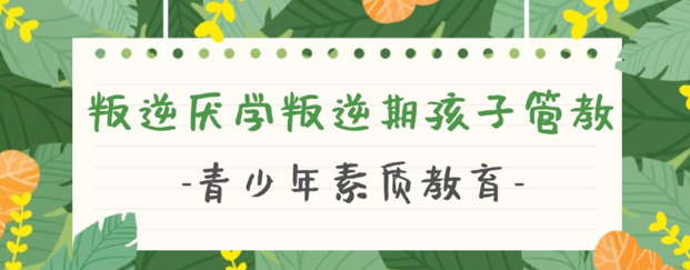 湖北武漢戒網(wǎng)癮學(xué)校推薦榜首:武漢紐特心理-圖1