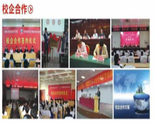 官方招生｜2025安徽有色金屬學院3+3升學班：全日制學歷+職業(yè)技能培訓-圖2
