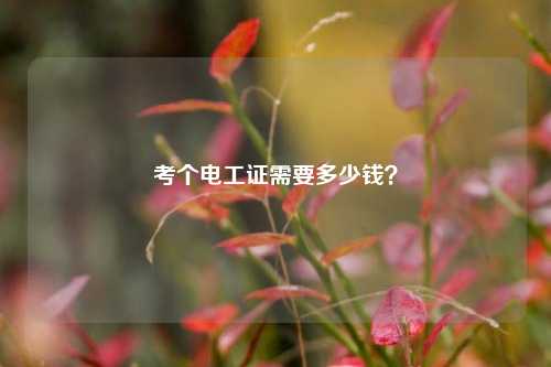 考個電工證需要多少錢？-圖1