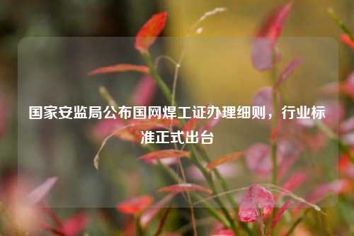 國家安監(jiān)局公布國網(wǎng)焊工證辦理細(xì)則，行業(yè)標(biāo)準(zhǔn)正式出臺-圖1