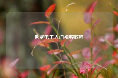 免費(fèi)電工入門(mén)視頻教程-圖1