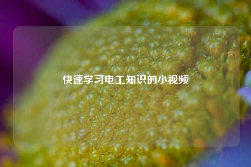快速學(xué)習(xí)電工知識(shí)的小視頻-圖1