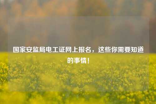 國家安監(jiān)局電工證網(wǎng)上報名，這些你需要知道的事情！-圖1