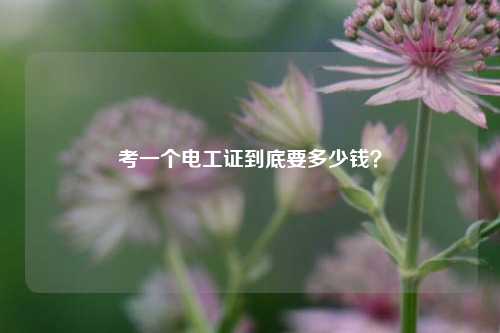 考一個(gè)電工證到底要多少錢？-圖1