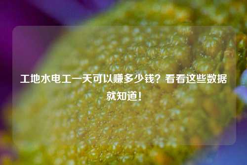工地水電工一天可以賺多少錢？看看這些數據就知道！-圖1