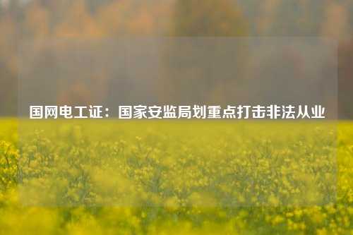 國(guó)網(wǎng)電工證：國(guó)家安監(jiān)局劃重點(diǎn)打擊非法從業(yè)-圖1