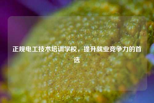 正規電工技術培訓學校，提升就業競爭力的首選-圖1