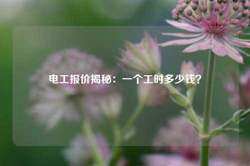 電工報價揭秘：一個工時多少錢？-圖1