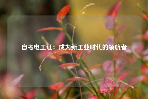 自考電工證：成為新工業時代的領航者-圖1