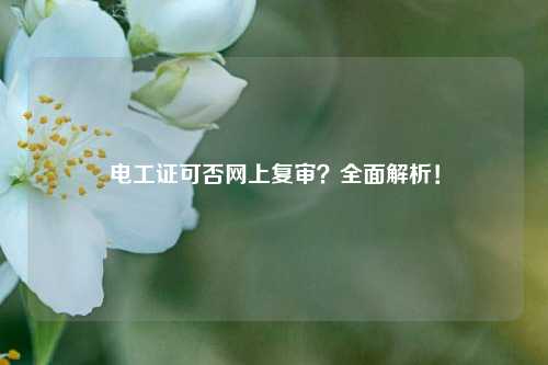 電工證可否網(wǎng)上復(fù)審？全面解析！-圖1