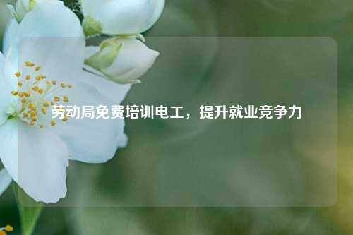 勞動局免費培訓(xùn)電工，提升就業(yè)競爭力-圖1