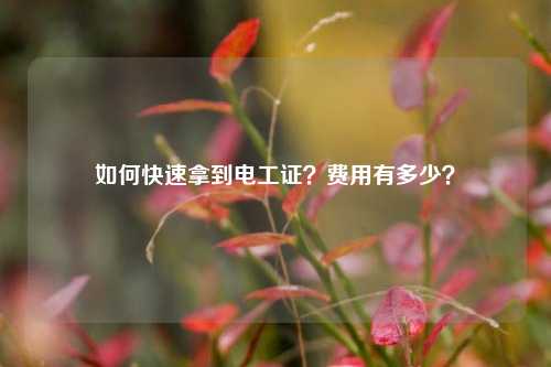 如何快速拿到電工證？費用有多少？-圖1