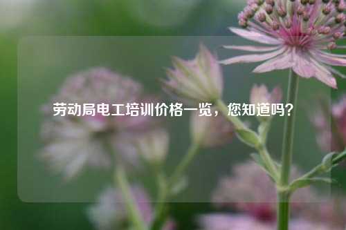 勞動(dòng)局電工培訓(xùn)價(jià)格一覽，您知道嗎？-圖1