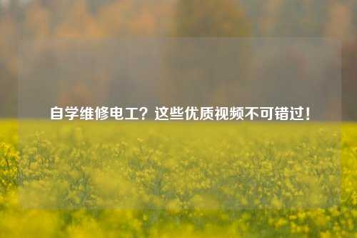 自學維修電工？這些優質視頻不可錯過！-圖1