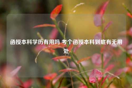 函授本科學(xué)歷有用嗎 考個函授本科到底有無用處-圖1