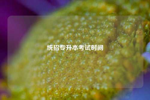統(tǒng)招專升本考試時間 幾月份報名-圖1